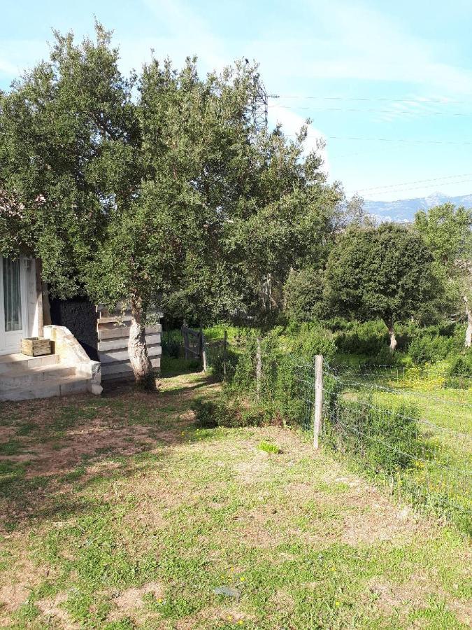 Casa Gattu Vila Porto-Vecchio  Exterior foto