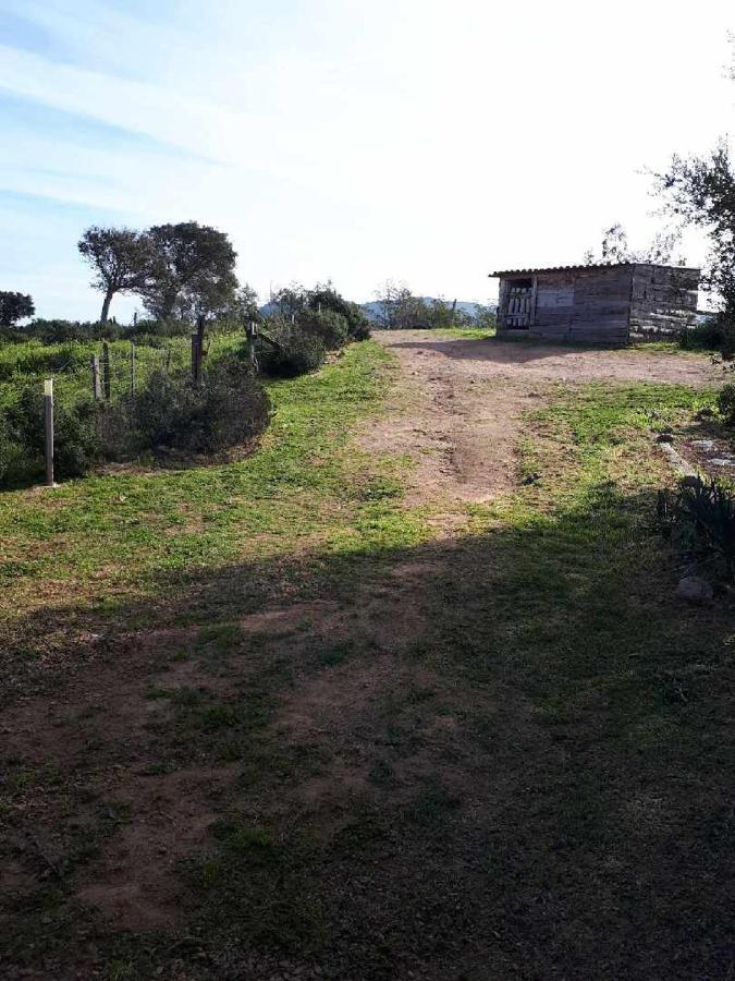 Casa Gattu Vila Porto-Vecchio  Exterior foto