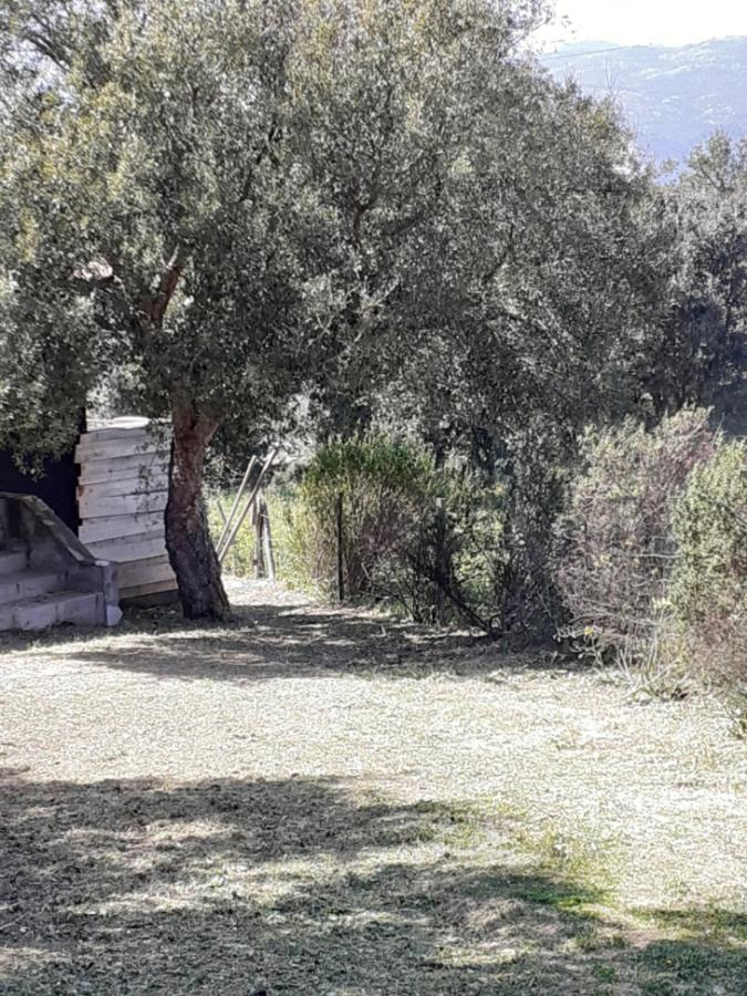 Casa Gattu Vila Porto-Vecchio  Exterior foto