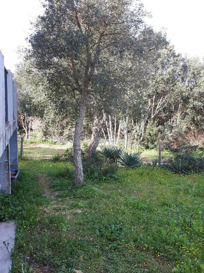 Casa Gattu Vila Porto-Vecchio  Exterior foto